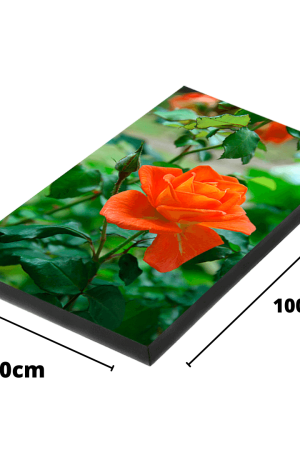 Retablo Decorativo 50x100