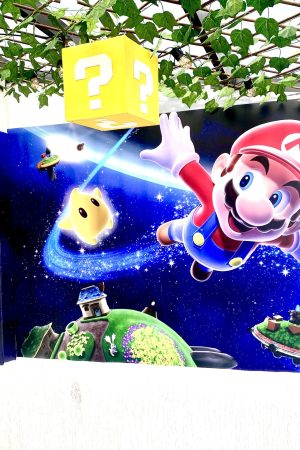 Vinilo Decorativo 130x150